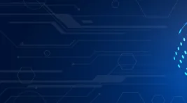 AIM Portfolio